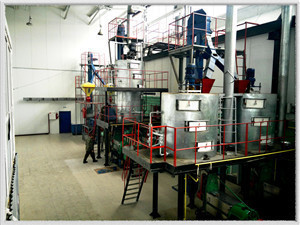 تعرف على آلات وتكلفة خط إنتاج زيت الزيتون في إدلب | اقتصاد
